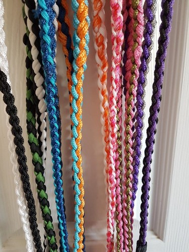 Dog show slip lead - dog, braided