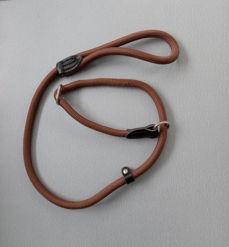 Brown dog slip lead - dog,