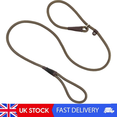 Dog slip lead green - lead,