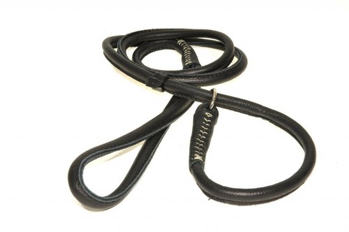 Dogs rolled slip dog - dogs, &