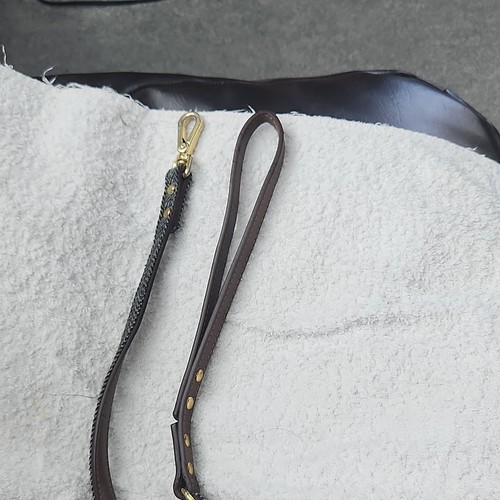 Brown dog lead - brown,