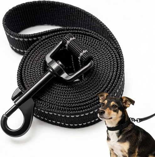 Dog training leads - dog, leash